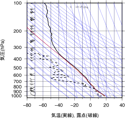 エマグラム画像