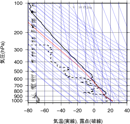 エマグラム画像