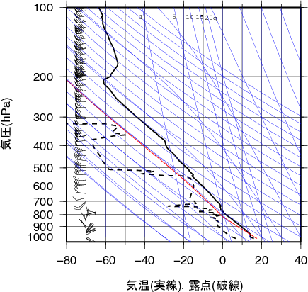 エマグラム画像
