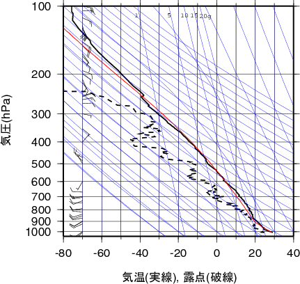 エマグラム画像