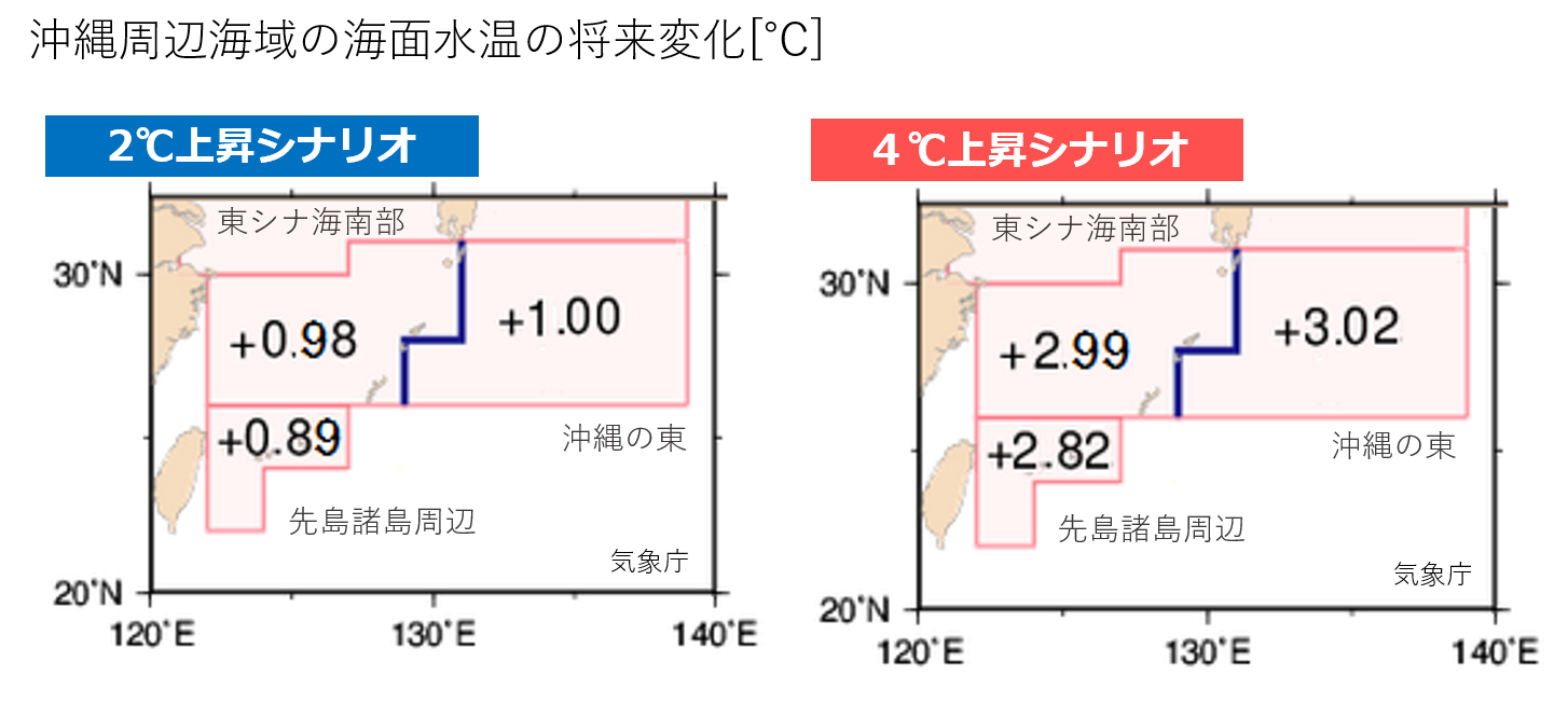 沖縄周辺海域の年平均海面水温将来予測
