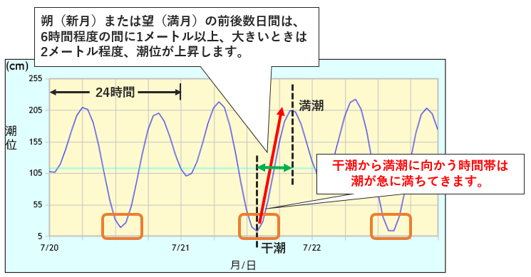 干潮・満潮の説明図
