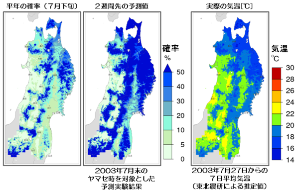 予測実験の例