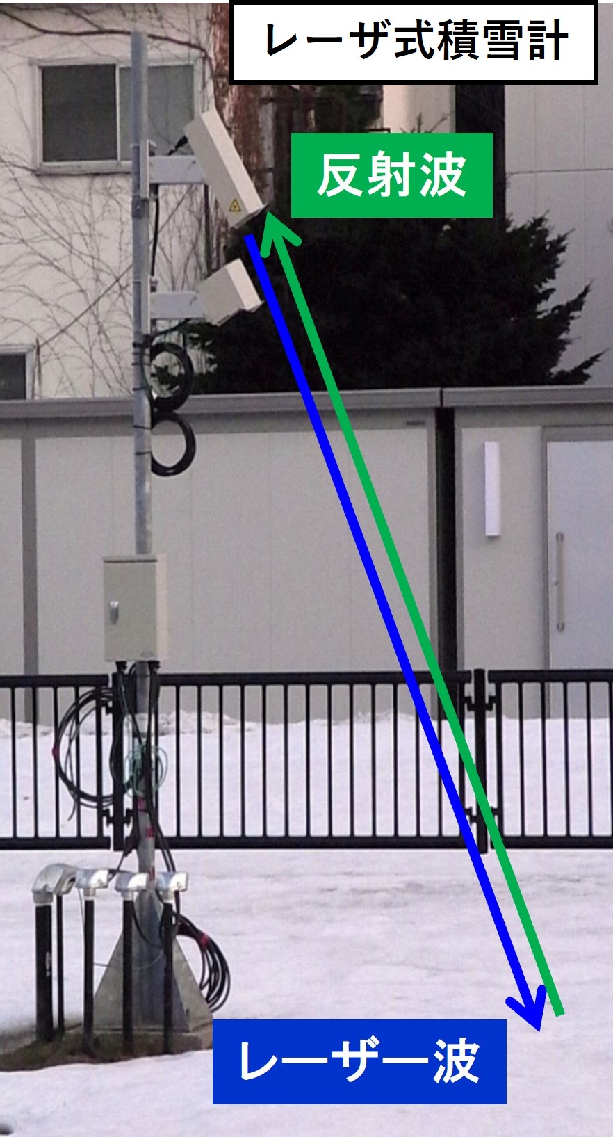 雪の観測（今）