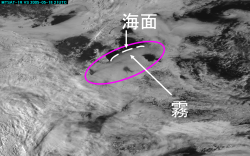 ひまわり６号の可視画像