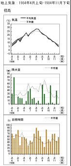 経過図（福島）