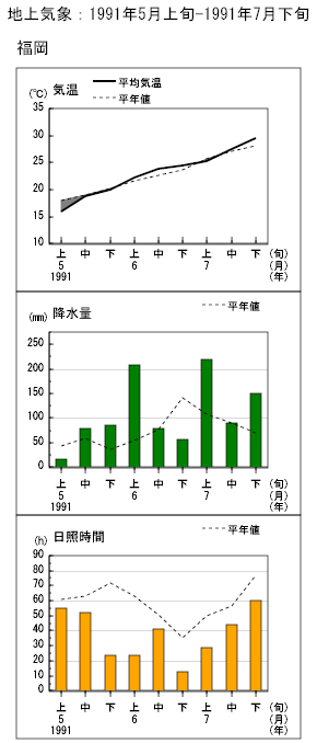 福岡の経過図