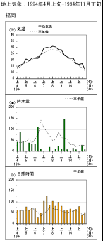 経過図（福岡）