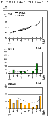 山形の経過図
