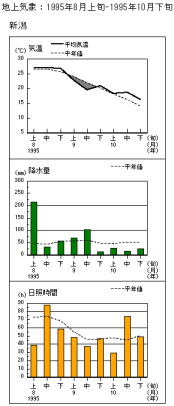 新潟の経過図