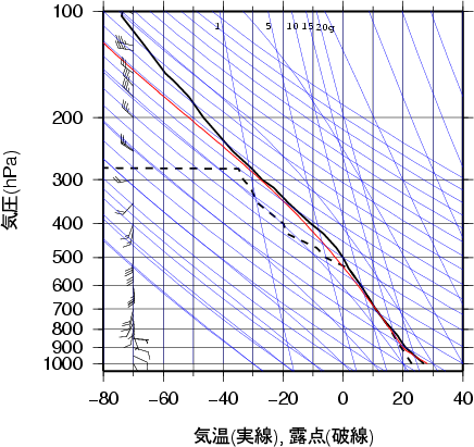 エマグラム画像