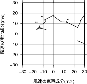 ホドグラフ画像