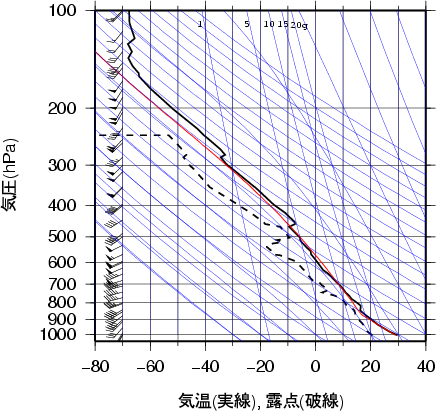 エマグラム画像