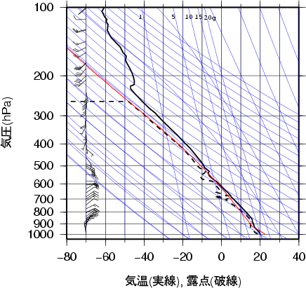 エマグラム画像