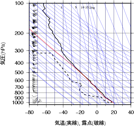 エマグラム画像