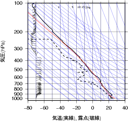エマグラム画像
