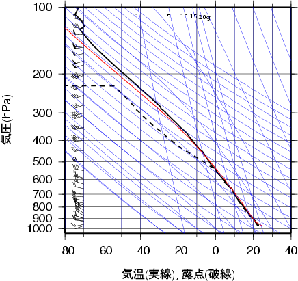 エマグラム画像