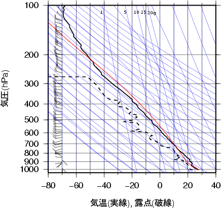 エマグラム画像