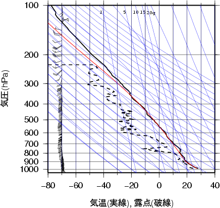 エマグラム画像