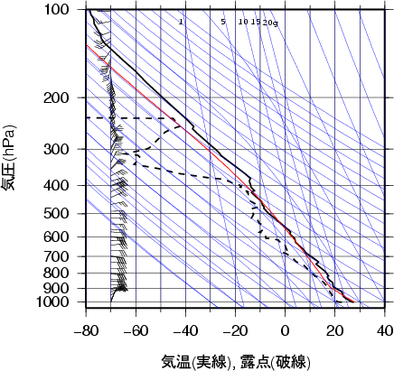 エマグラム画像