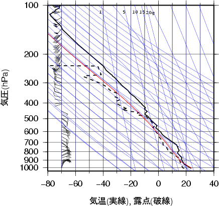 エマグラム画像