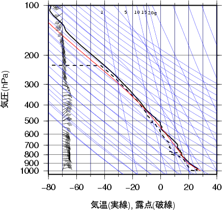 エマグラム画像