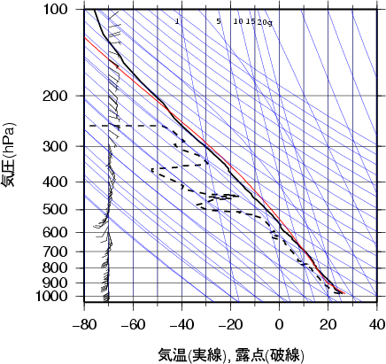 エマグラム画像