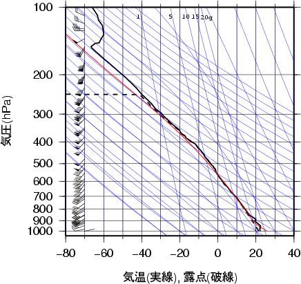 エマグラム画像