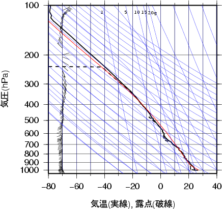 エマグラム画像