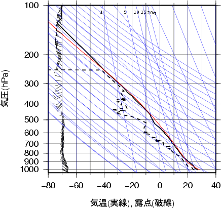エマグラム画像
