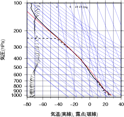 エマグラム画像