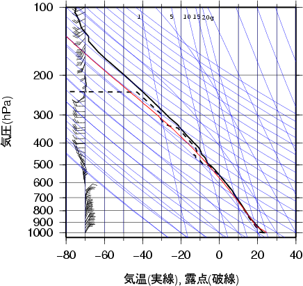エマグラム画像