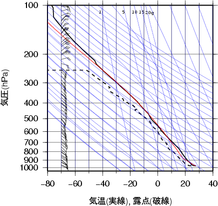 エマグラム画像