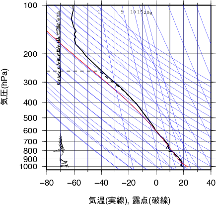 エマグラム画像