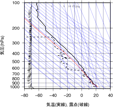 エマグラム画像