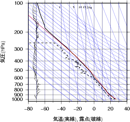 エマグラム画像