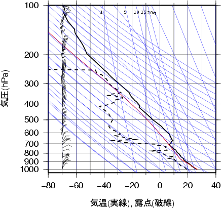 エマグラム画像