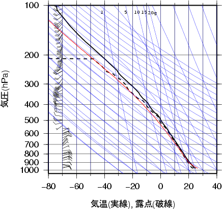 エマグラム画像