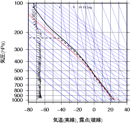 エマグラム画像