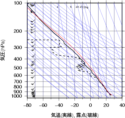 エマグラム画像
