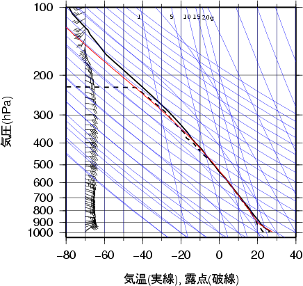 エマグラム画像