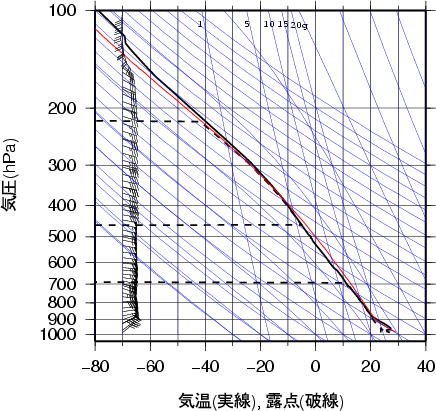 エマグラム画像