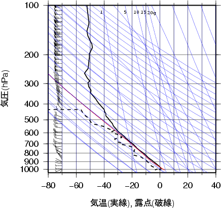 エマグラム画像