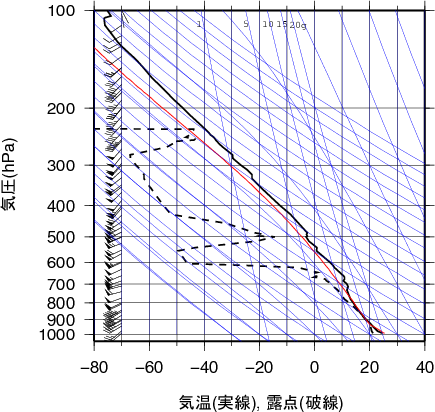 エマグラム画像