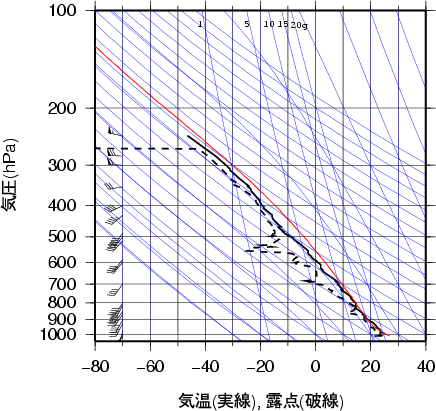 エマグラム画像