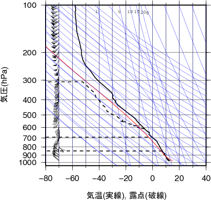 エマグラム画像