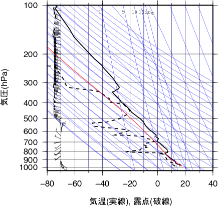 エマグラム画像