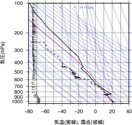 エマグラム画像
