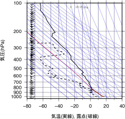 エマグラム画像
