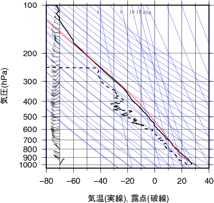 エマグラム画像